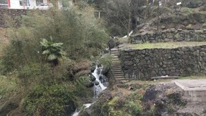 A waterfall surrounded by greenery and a stone wall. - Jixi Huihanggudao Cuizhu Mountain Villa (Jixi)