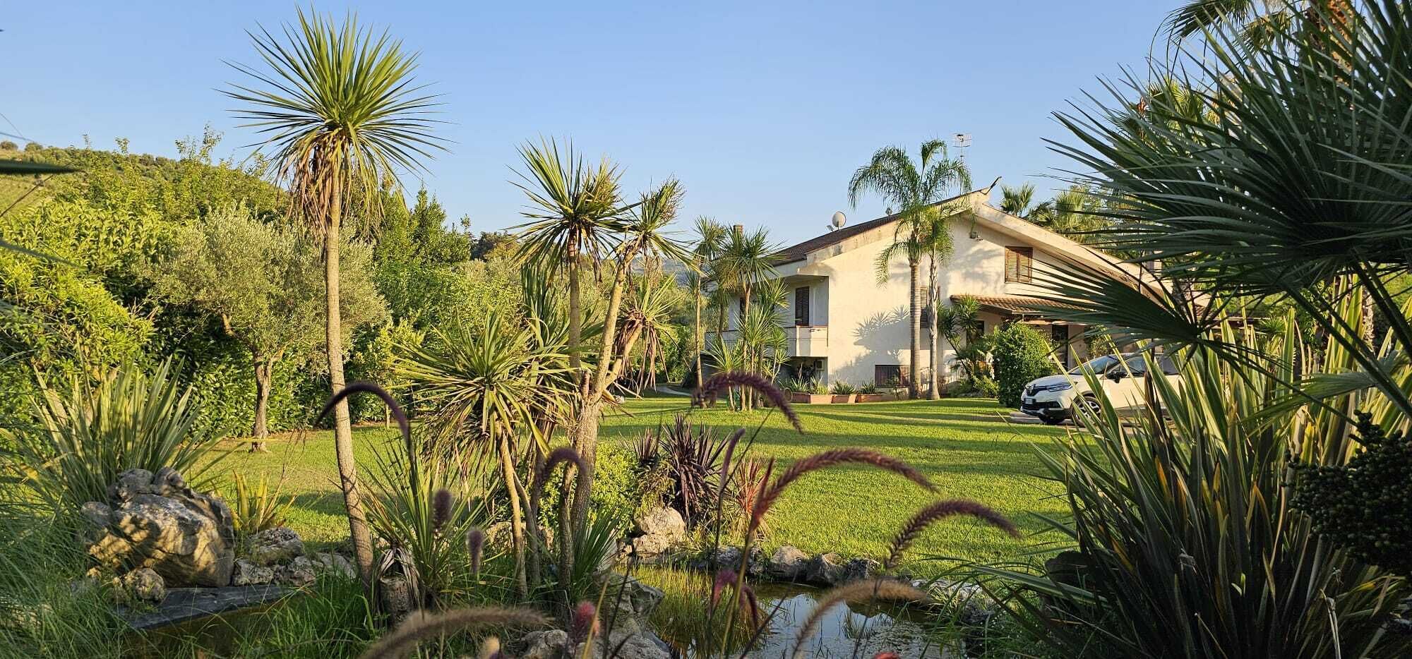 Une maison moderne avec une pelouse bien entretenue, des palmiers et une voiture garée dans l’allée.