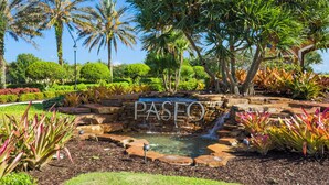 Un jardin agrémenté d’une fontaine en pierre et d’un panneau indiquant « PASEO ».