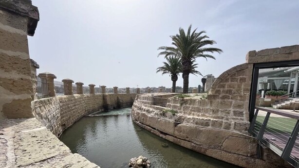 A stone water channel with a palm tree and a stone wall.