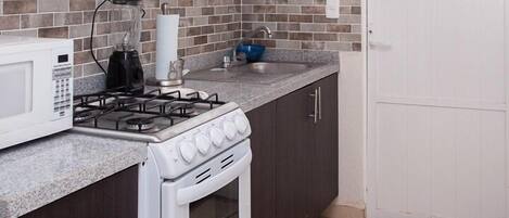 Family House, 2 Bedrooms, Patio, Garden View | Private kitchen | Electric kettle