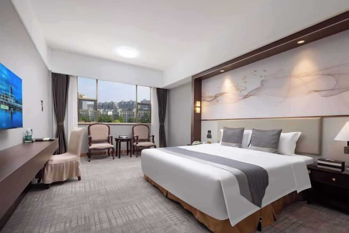 A hotel room with a large bed, a desk, two chairs, a TV, and a city view.