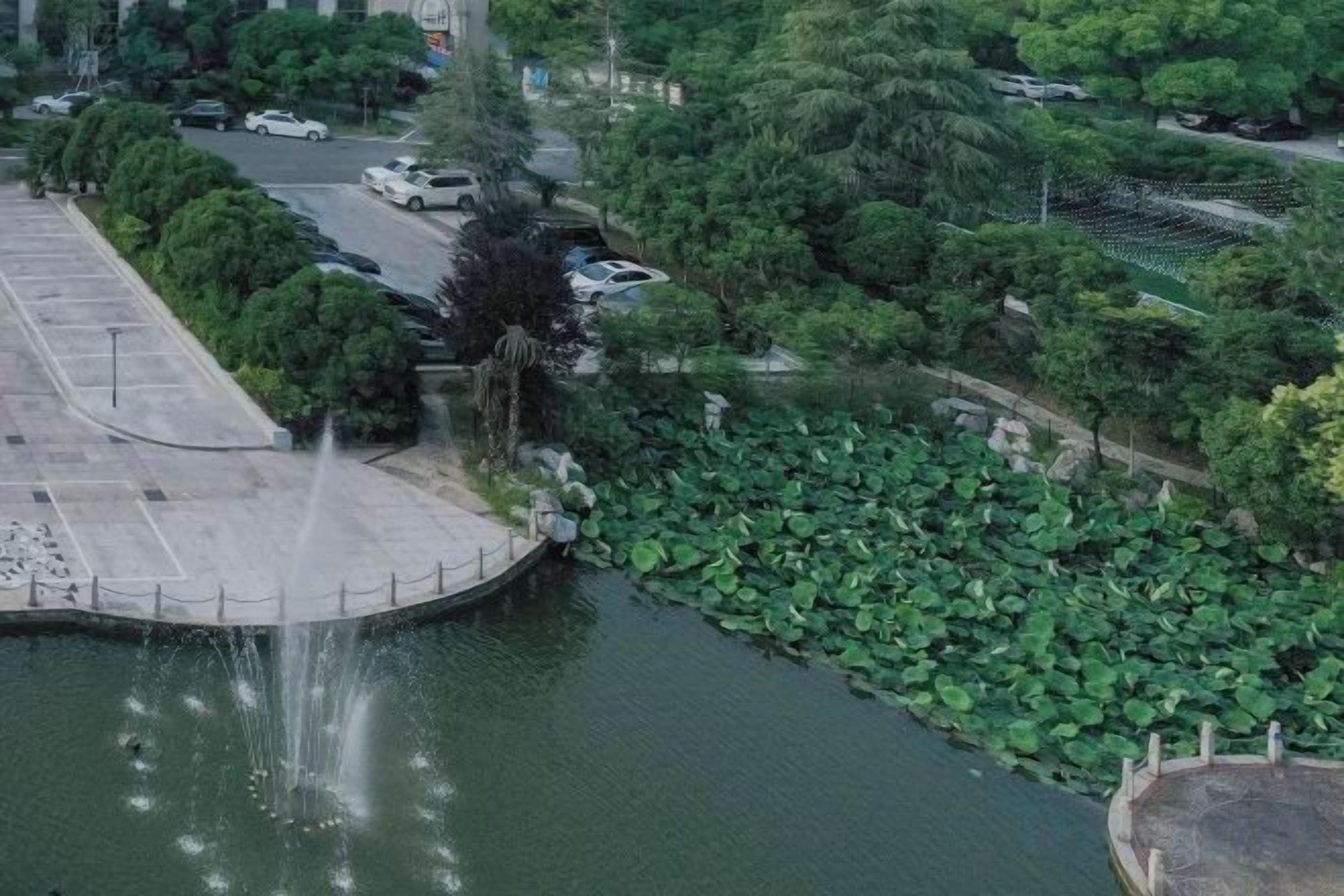 A park with a fountain, a paved walkway, and a body of water with lily pads.