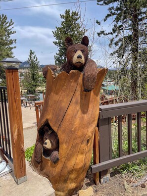 Property grounds - The Haven - Mountain Log Home Sleeps 14! (Estes Park)