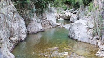 Un paysage fluvial naturel, avec des berges rocheuses et une végétation luxuriante.