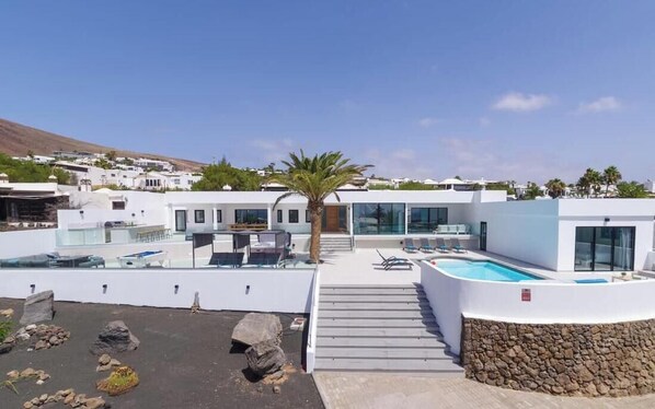 A modern rooftop with a swimming pool, lounge chairs, and a palm tree.