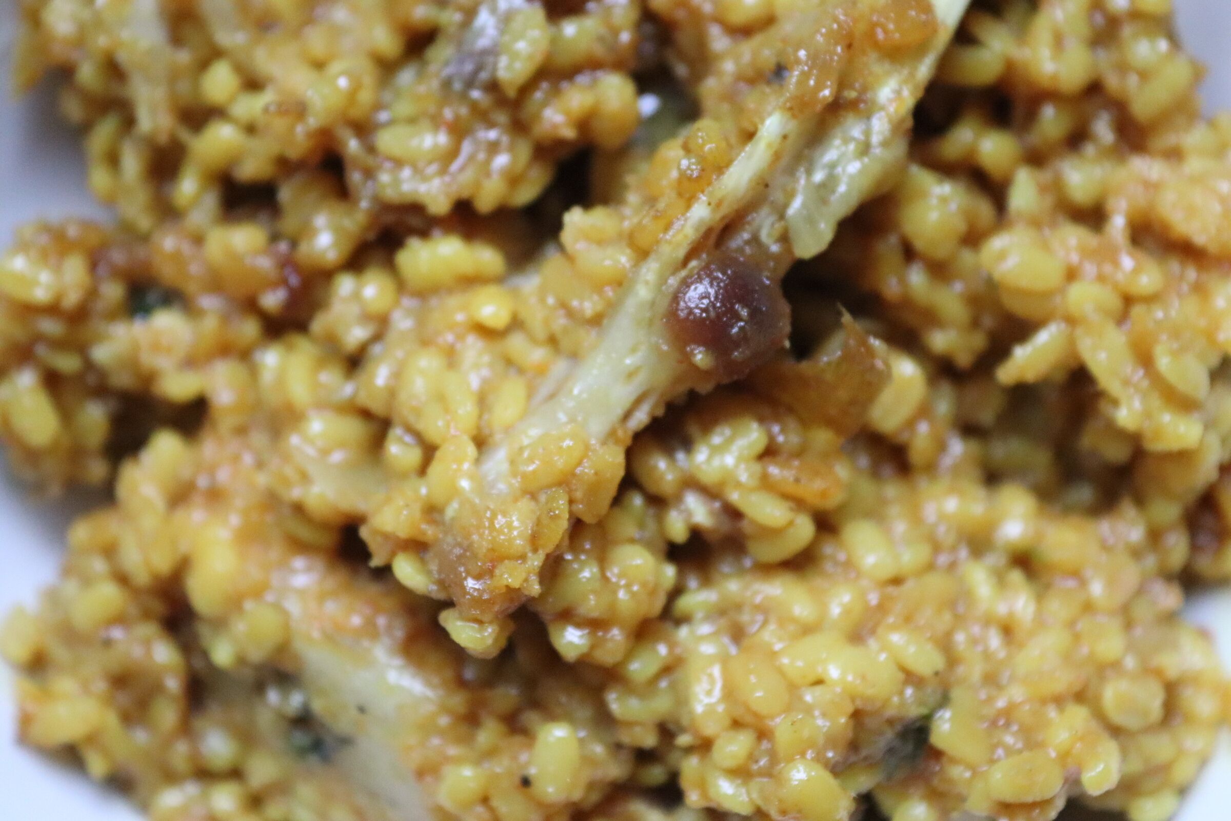 A close-up of a dish with grains and a bone.