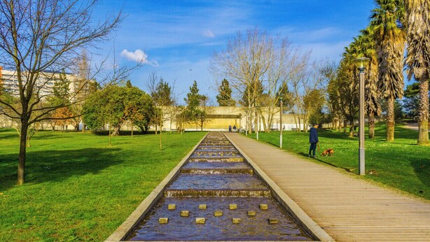 Un sendero que lleva a una fuente de agua en un parque, con árboles y un edificio al fondo.