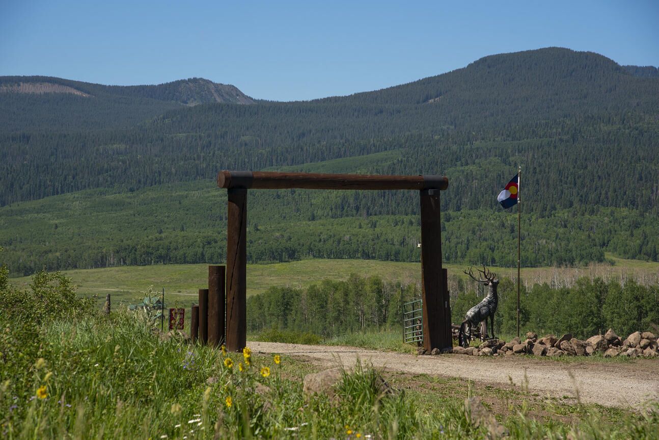 Een houten constructie met een vlag, een hertenbeeld en een bergachtig landschap.