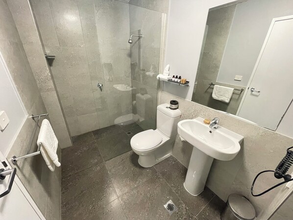 A modern bathroom with a glass-enclosed shower, a toilet, a sink, and a mirror.