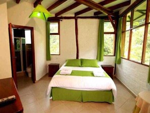 Coffres-forts dans les chambres, Wi-Fi gratuit