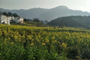 A building with multiple floors, surrounded by a field of yellow flowers, with mountains in the background. - Wuyuan Jiangling Garden Hostel (Wuyuan)