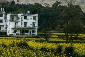 Unclassified image, 5 of 22, button - Wuyuan Jiangling Garden Hostel (Wuyuan)