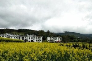 Un complejo de edificios con varios pisos, rodeado por un campo de flores amarillas, bajo un cielo nublado.
