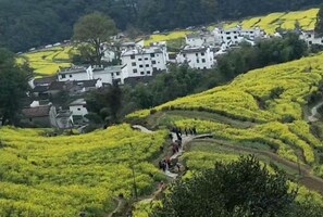 Unclassified image, 4 of 22, button - Wuyuan Jiangling Garden Hostel (Wuyuan)