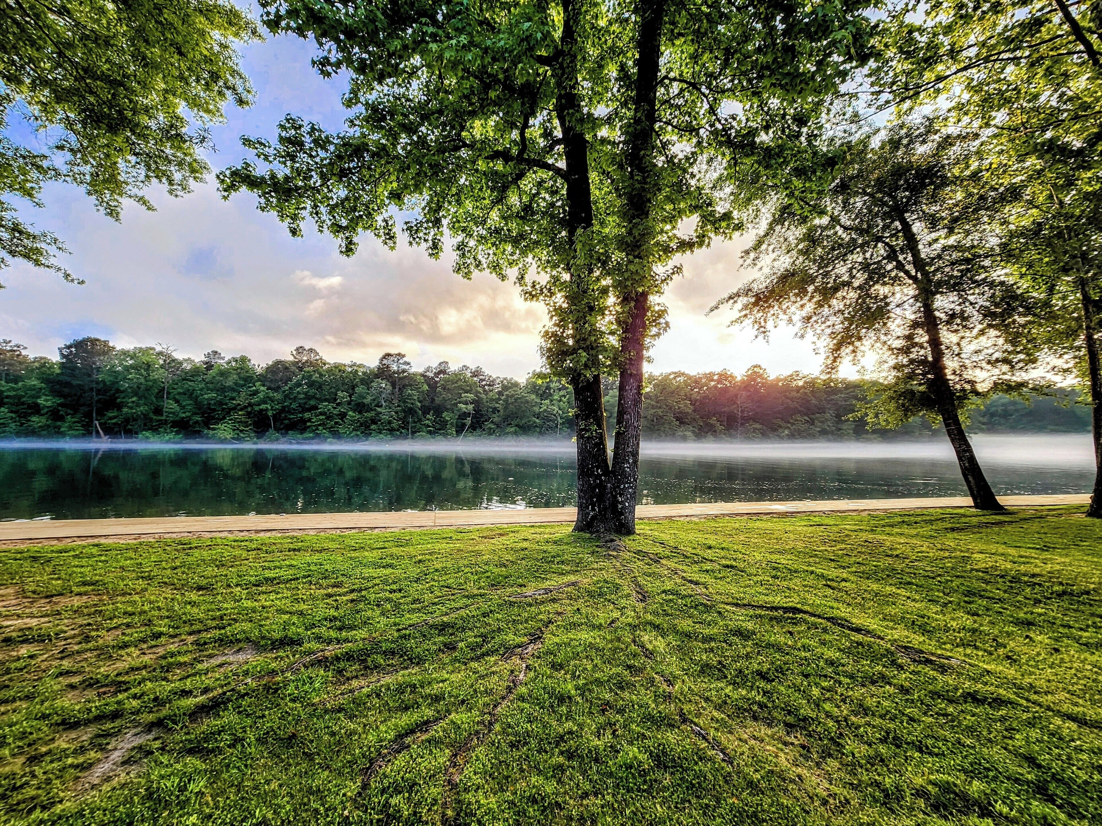 A serene lakeside park with a wooden boardwalk, lush green grass, and trees.