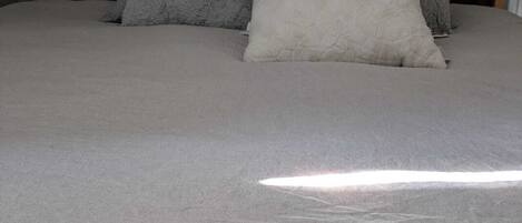 1 camera, ferro/asse da stiro, Wi-Fi, lenzuola