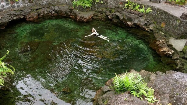 A stone pool with clear water, surrounded by greenery and a stone wall. - Spacious & Modern Pāhoa Retreat Near Kehena Beach! (Pahoa)