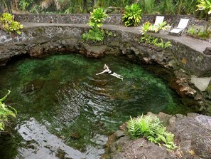 Une piscine en pierre à l’eau claire, entourée de verdure et bordée d’un mur de pierres.