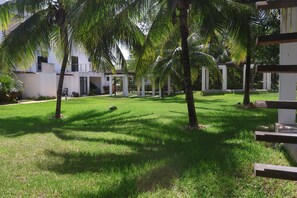 Property grounds - 5 minutes away from Xcaret and Xplor Park! Ideal house for a family. (Playa del Carmen)