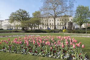 A garden with pink tulips and white flowers, surrounded by a building with multiple windows and doors. - Cosy Peaceful Self Contained Home in Montpellier (Cheltenham)