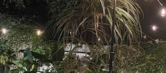 Charming Cape Home- Prime Location