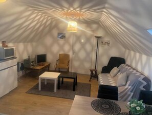 Télévision, lecteur de DVD, livres, vidéothèque