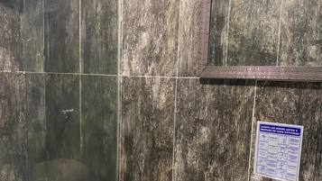 Shower, towels, toilet paper