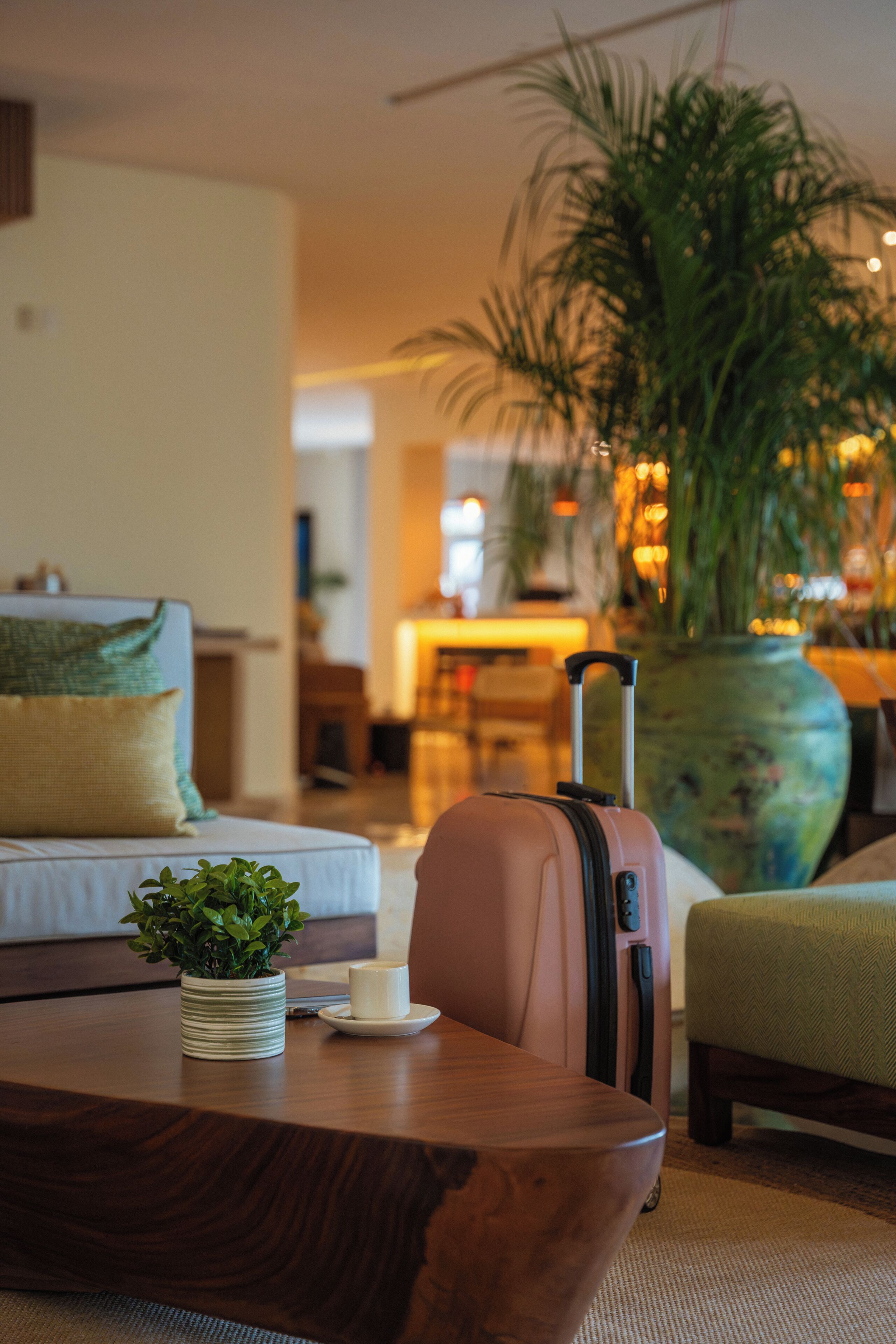 Un salon avec un canapé, une table sur laquelle se trouve une plante, une valise et une grande plante en pot.
