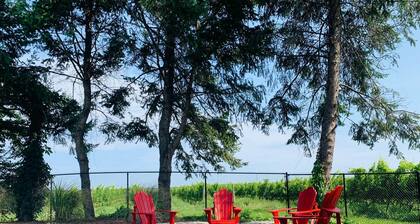 Private home, hot tub, in-ground pool, vineyard views.