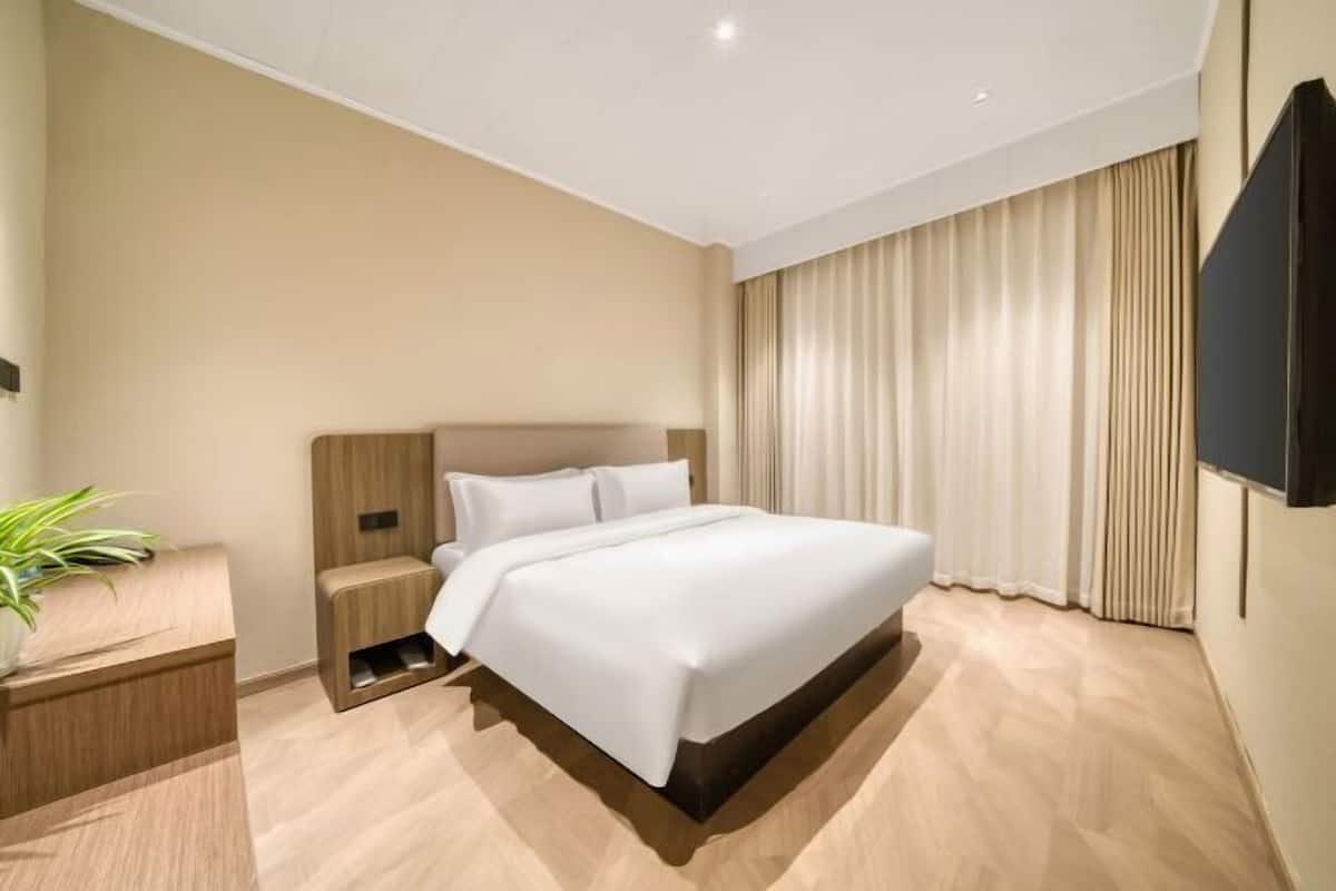 A modern hotel room with a large bed, a bedside table, a wall-mounted TV, and a potted plant.