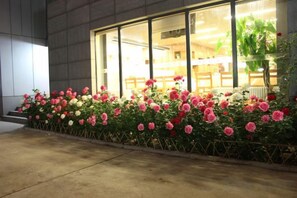 A building facade with large windows and a flower bed with pink and white flowers. - National Library Hotel (Beijing)
