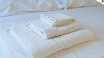 2 chambres, fer et planche Ă repasser, lit parapluie, draps fournis