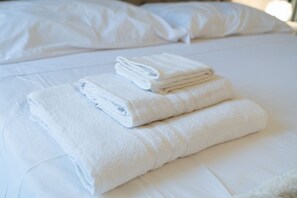 2 bedrooms, iron/ironing board, travel crib, bed sheets