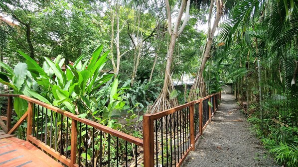 A pathway surrounded by lush greenery and a wooden fence.