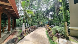 Un sentier bordé de plantes tropicales et un espace de repos abrité.