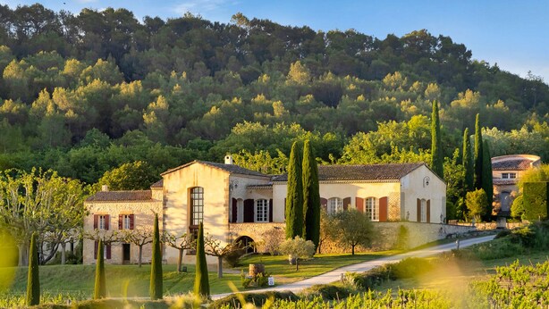 A rural property with two stone buildings, a vineyard, and a forested hill in the background. - Petite Bastide | Domaine Tour Campanets (Le Puy-Sainte-Réparade)