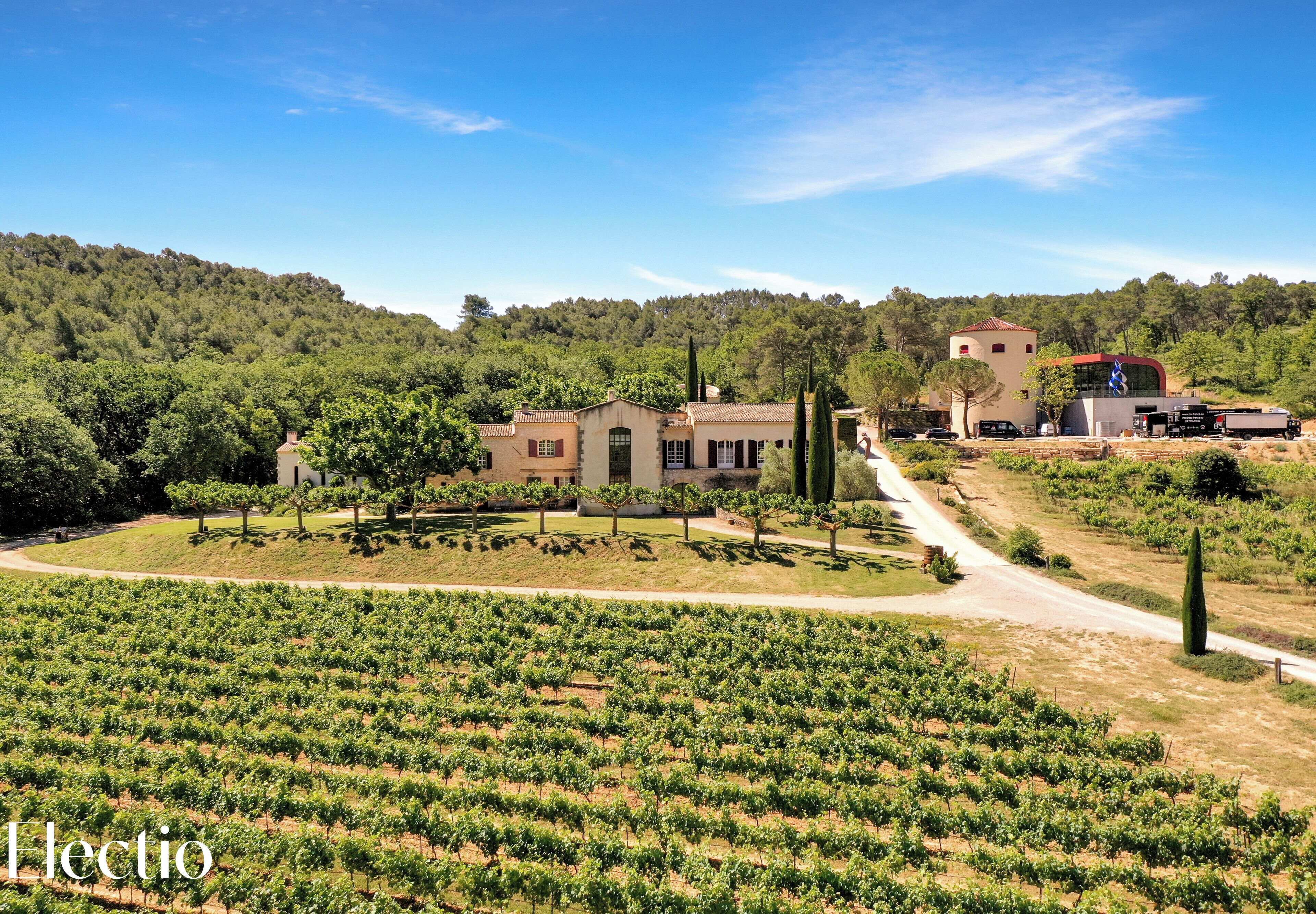 A vineyard with rows of grapevines, a building with a red roof, and a clear blue sky.