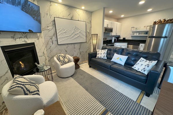 Smart TV, caminetto, monitor per computer