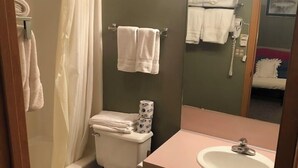 Une salle de bain équipée de toilettes, d’un lavabo, d’un rideau de douche et d’un miroir avec éclairage.