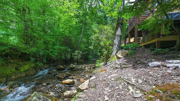 Une zone boisée avec un ruisseau, des rochers et une structure en bois dotée d’un balcon donnant sur le ruisseau.