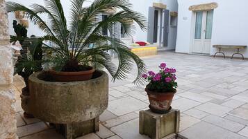 Detalle exterior