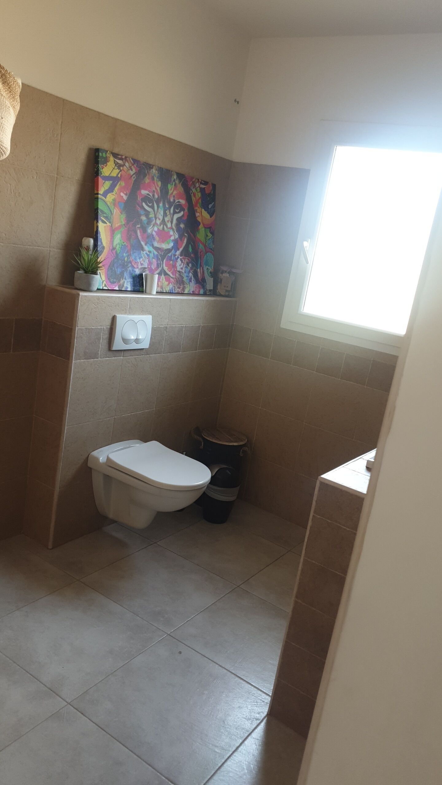 Ducha, secador de pelo, toallas y jabón