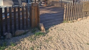 A residential property with a patio, outdoor furniture, a wooden fence, and a gravel driveway.