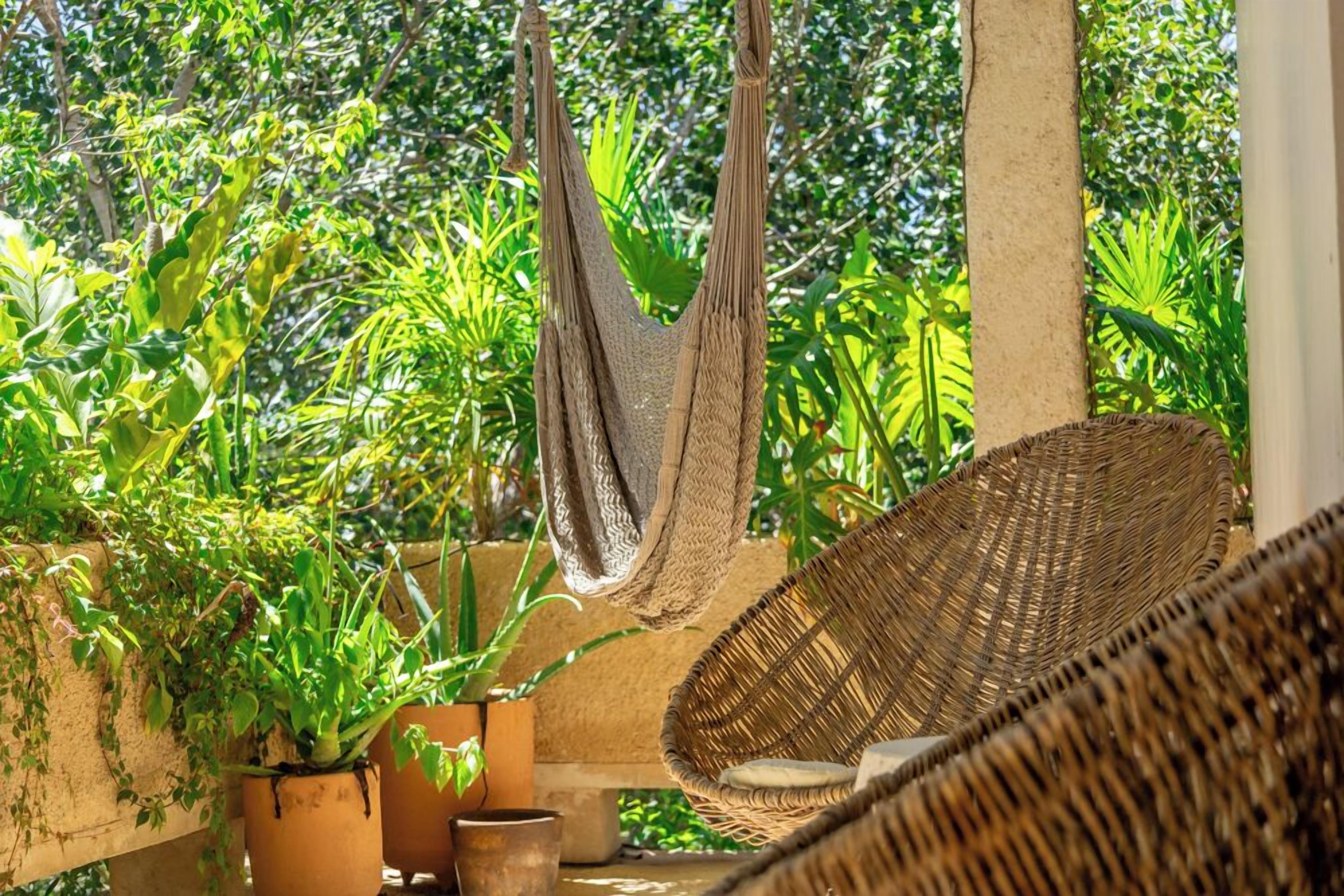 A hammock chair and a wicker lounge chair in a lush garden setting with potted plants.