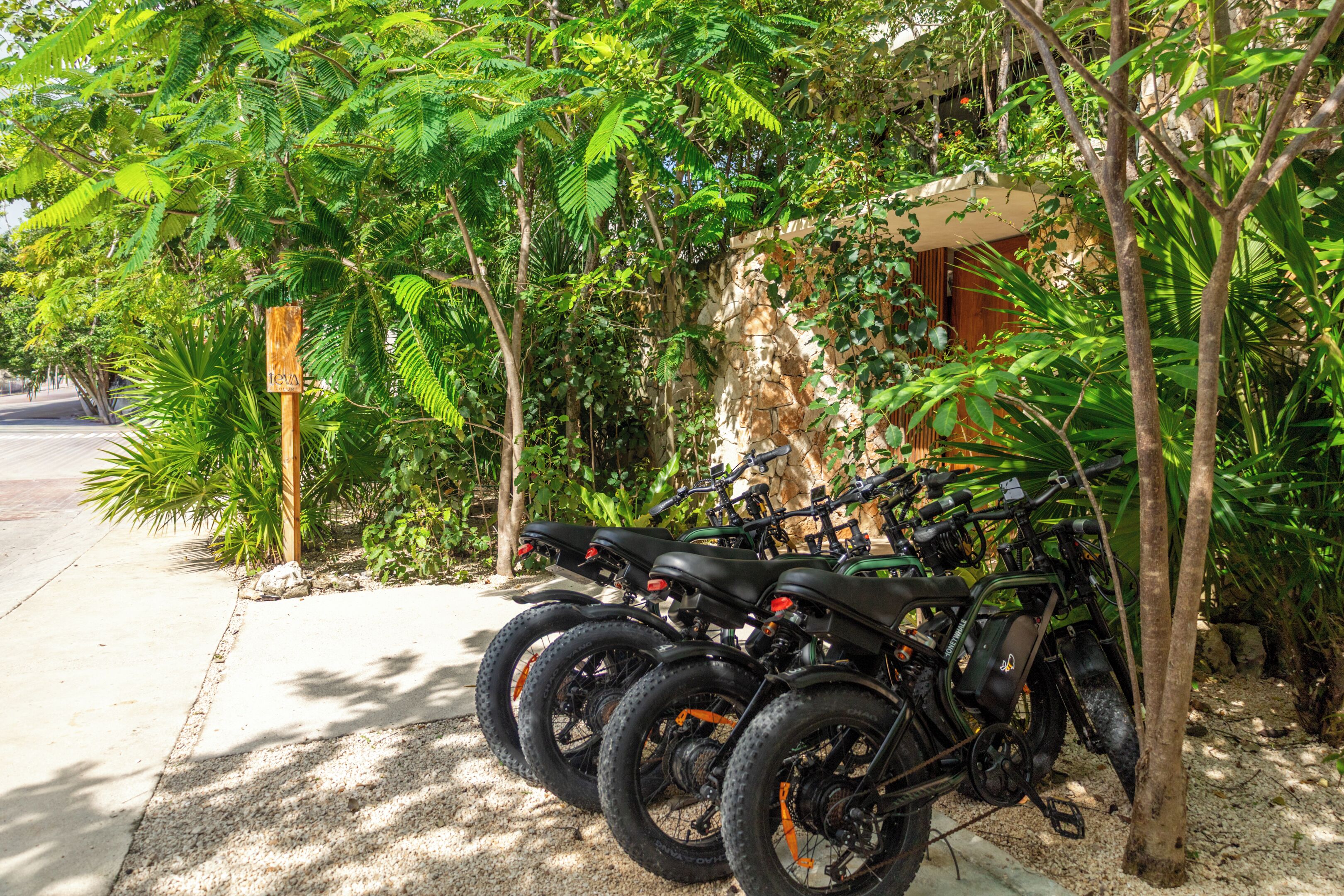 A row of mountain bikes parked under a tree in a shaded area.