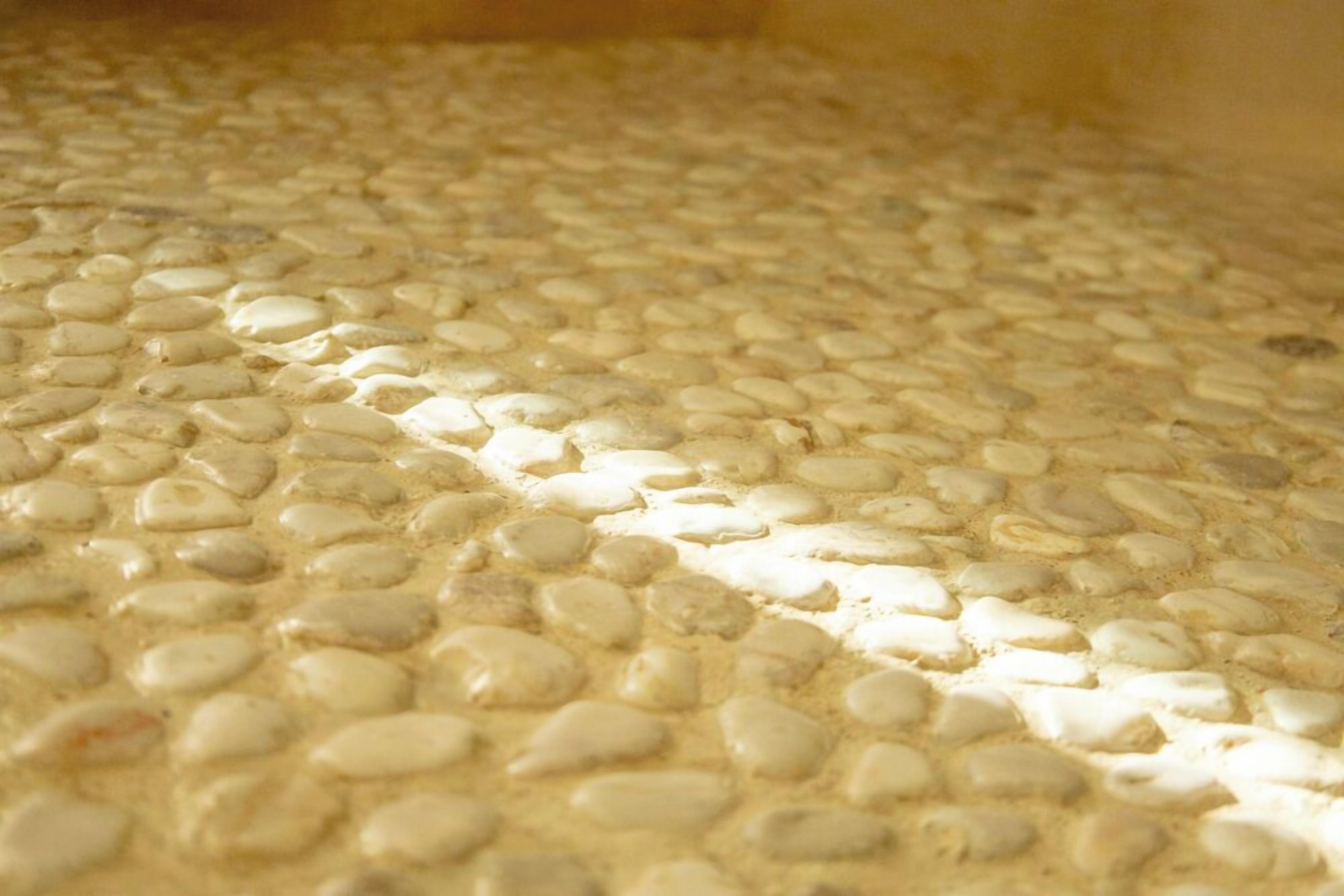 A close-up of a textured surface with irregularly shaped, light-colored stones.