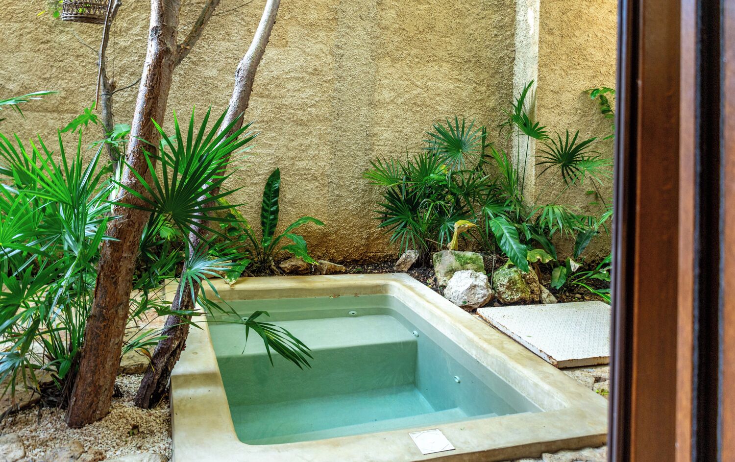 A small, rectangular pool with a concrete edge, surrounded by various green plants and a tree trunk.