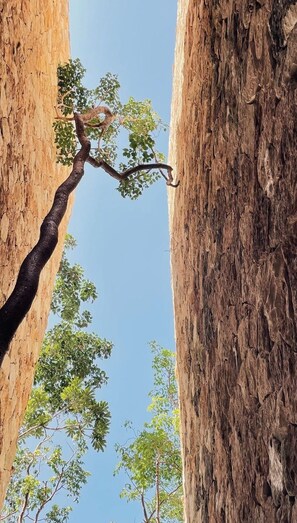 Interior entrance - TEVA TULUM (Tulum)