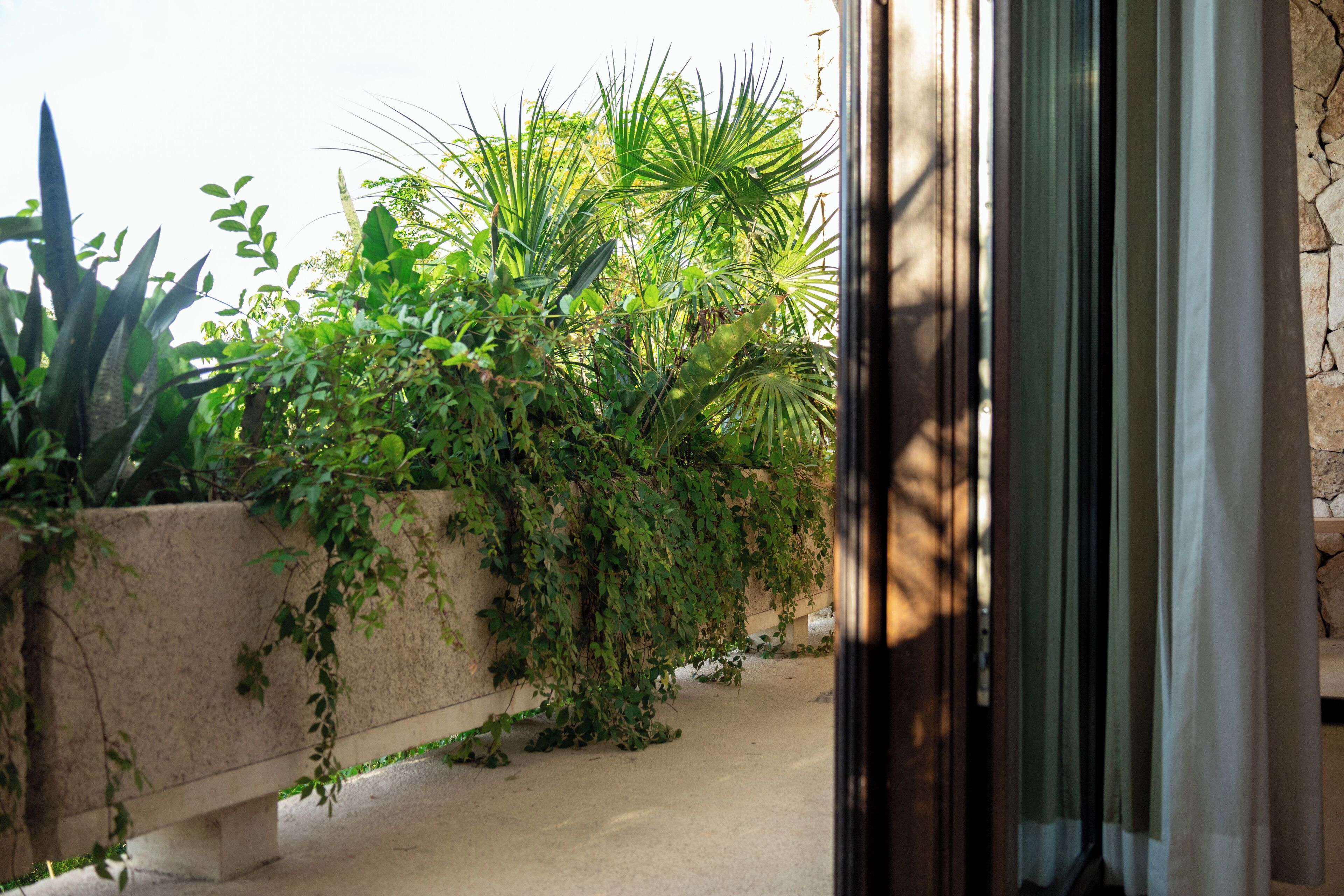 A stone wall with lush green plants and a concrete bench.